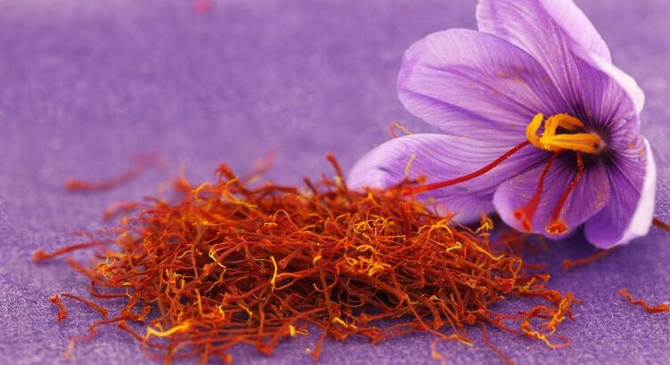 Safranbolu & Amasra  - Safran Çiçeği Hasatı