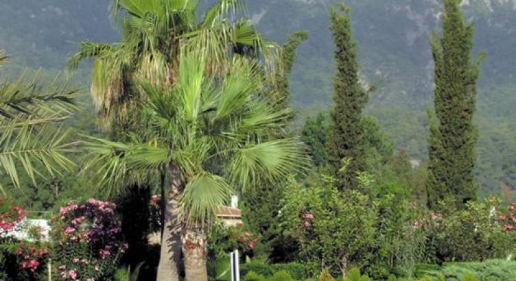 Fame Residence Göynük