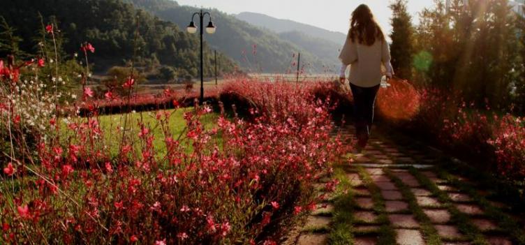 Obam Termal Resort & Spa