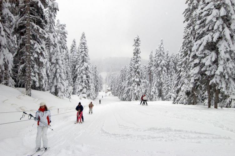 Ferko Ilgaz Mountain Resort