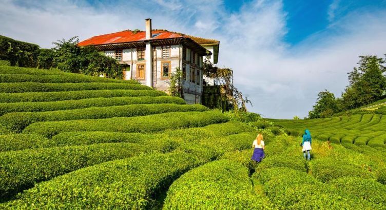 Karadeniz Fırtınası ve Batum Turu