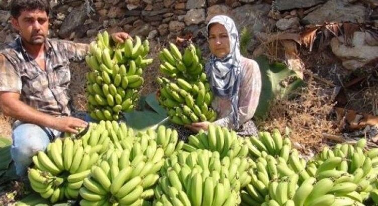 Mersin - Alanya Turu