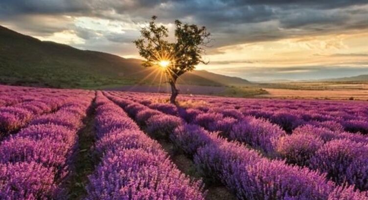 Lavanta Tarlaları Salda Gölü Pamukkale Çeşme Alaçatı Turu (1 Gece Otel Konaklamalı)